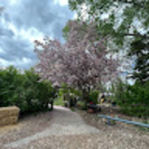 Meet your Posher, Jack